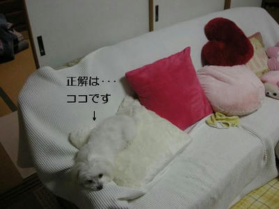 DSCN0356.JPG