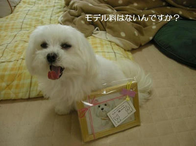 DSCN0396.JPG