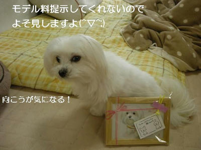 DSCN0403.JPG