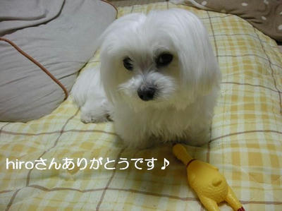 DSCN0417.JPG