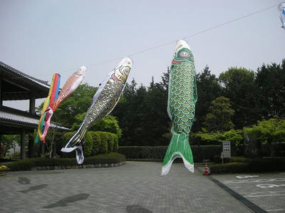 DSCN0423.JPG