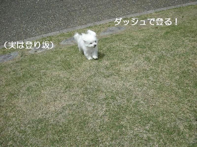 DSCN0449.JPG