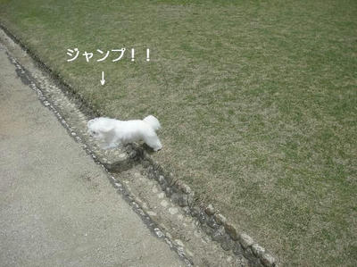 DSCN0458.JPG