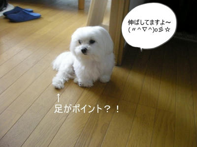 DSCN0480.jpg
