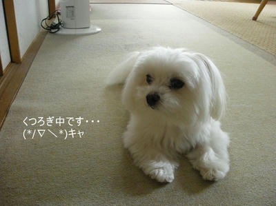 DSCN0484.jpg