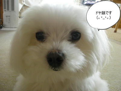 DSCN0488.jpg