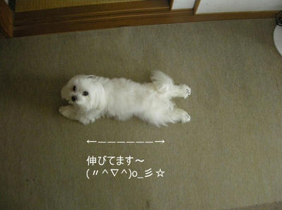 DSCN0490.jpg