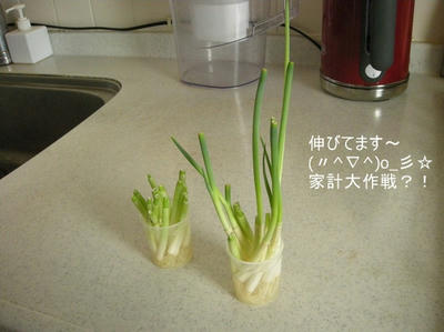 DSCN0493.jpg