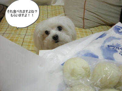 DSCN0498.jpg