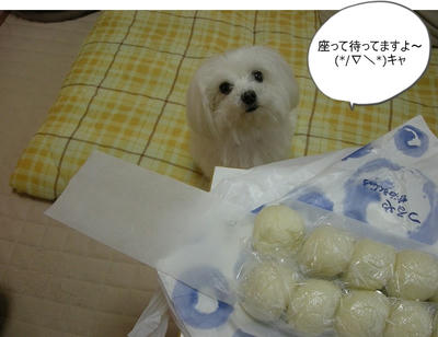 DSCN0501.jpg