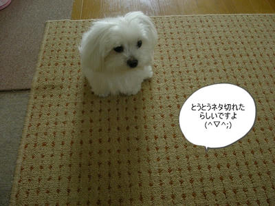 DSCN0503.jpg