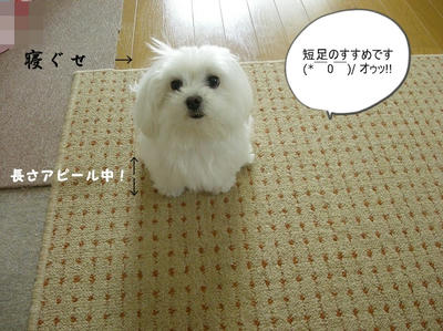 DSCN0505.jpg