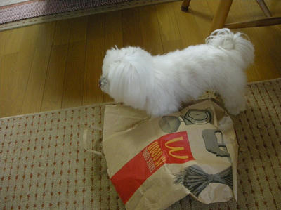 DSCN0366.jpg