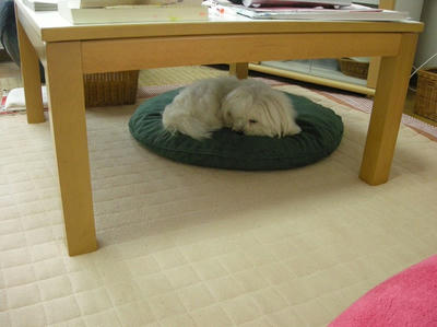 DSCN0522.jpg