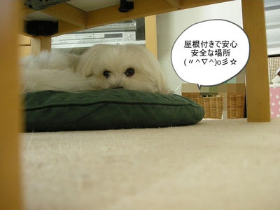 DSCN0521.jpg