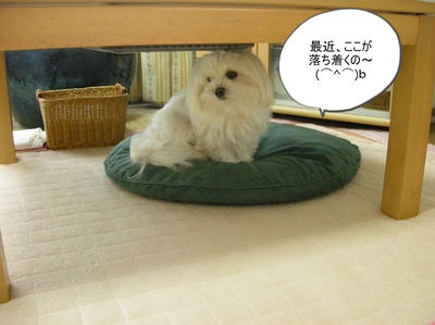 DSCN0519.jpg