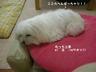 DSCN0517.jpg