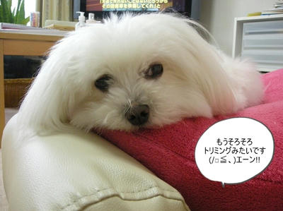 DSCN0515.jpg