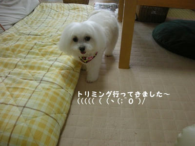 DSCN0567.jpg