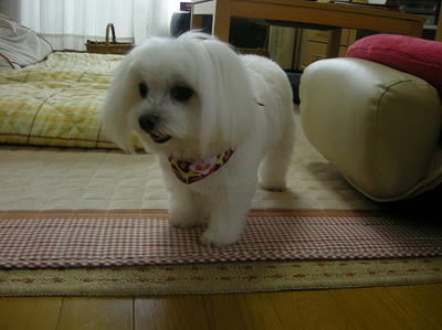 DSCN0569.jpg