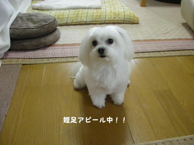 DSCN0573.jpg