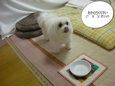 DSCN0580.jpg
