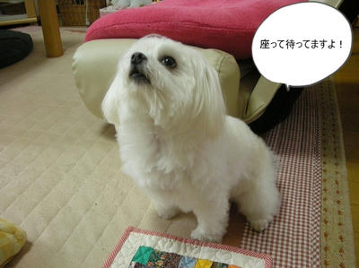 DSCN0587.jpg