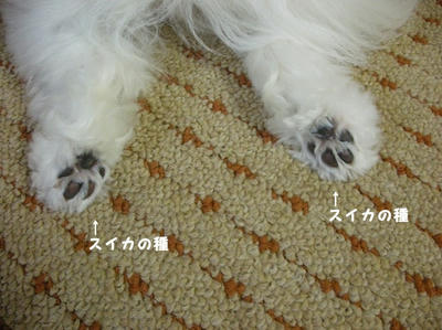 DSCN0591.jpg