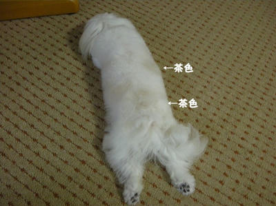 DSCN0592.jpg