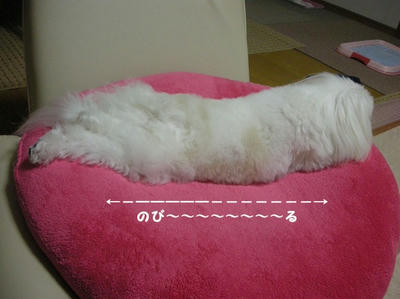 DSCN0588.jpg
