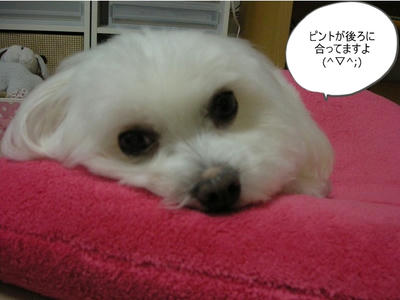 DSCN0616.jpg