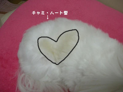 DSCN0621.jpg