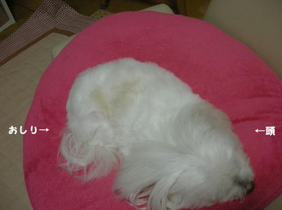DSCN0623.jpg