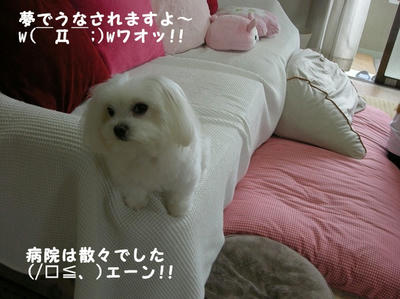 DSCN0668.jpg