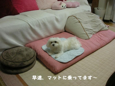 DSCN0684.jpg