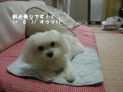 DSCN0687.jpg
