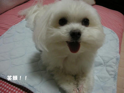 DSCN0692.jpg