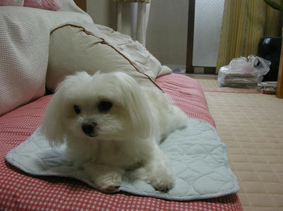 DSCN0693.jpg