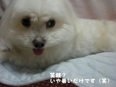 DSCN0698.jpg