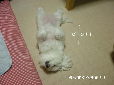 DSCN0725.jpg