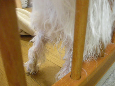 DSCN0769.jpg
