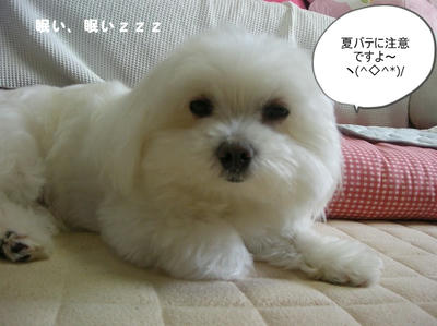 DSCN0747.jpg