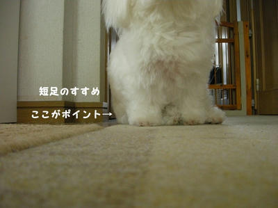 DSCN0777.jpg