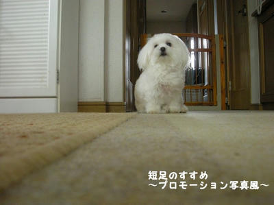 DSCN0779.jpg