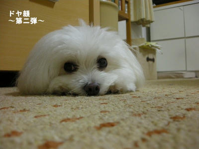DSCN0785.jpg