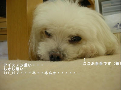 DSCN0813.jpg
