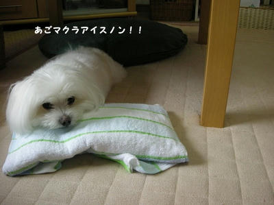 DSCN0814.jpg