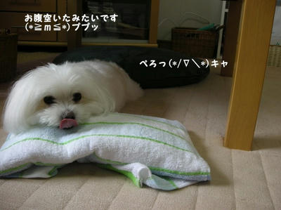 DSCN0815.jpg