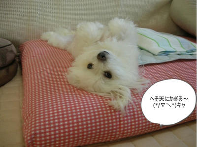 DSCN0823.jpg