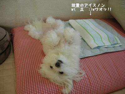 DSCN0824.jpg